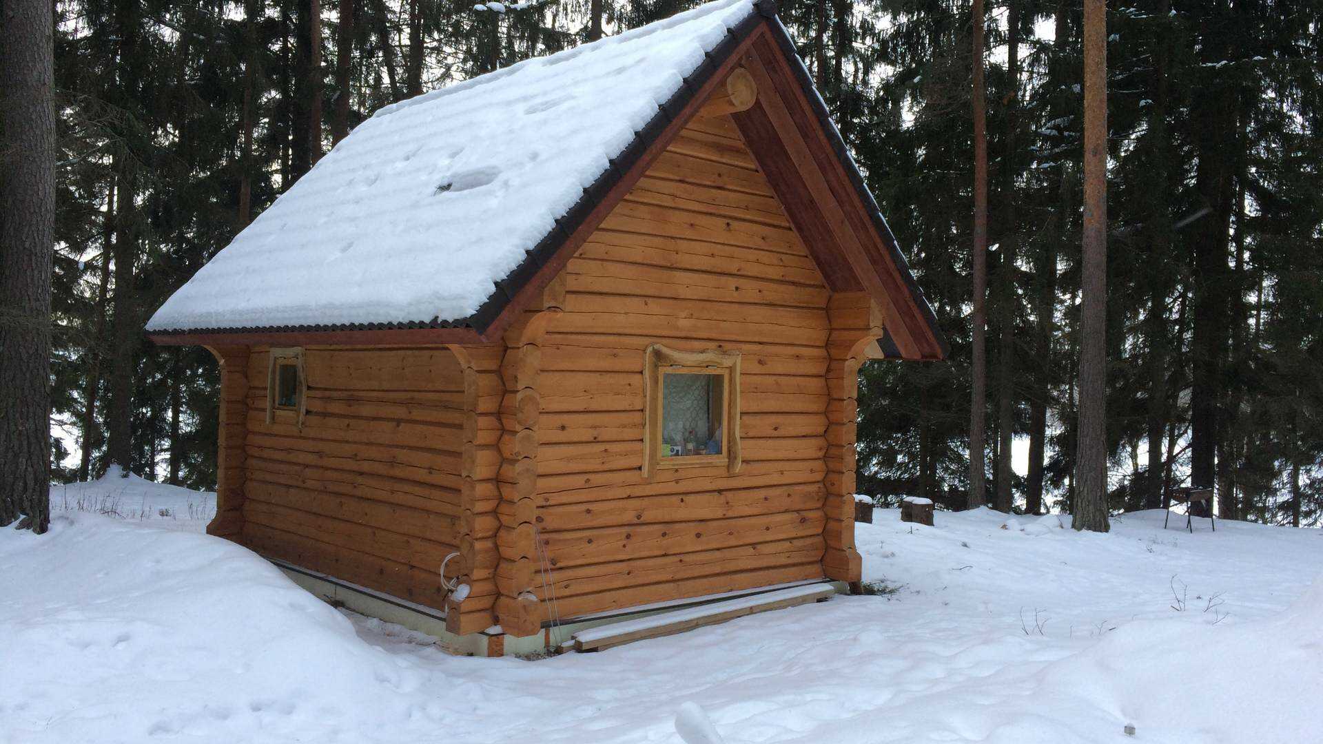 Log house
